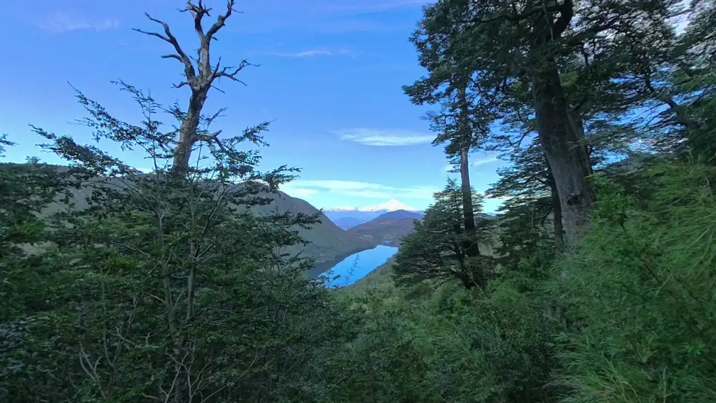 Lago, bosque nativo y volcán nevado del Parque Nacional Huerquehue vistos desde el sendero, recorrido virtual en 360 grados